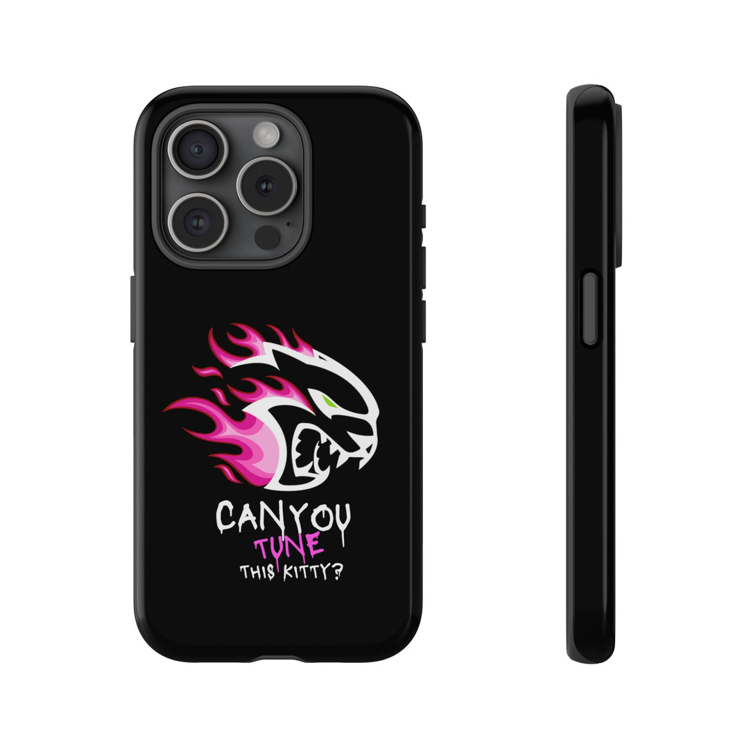 "CAN YOU TUNE THIS KITTY?" Case