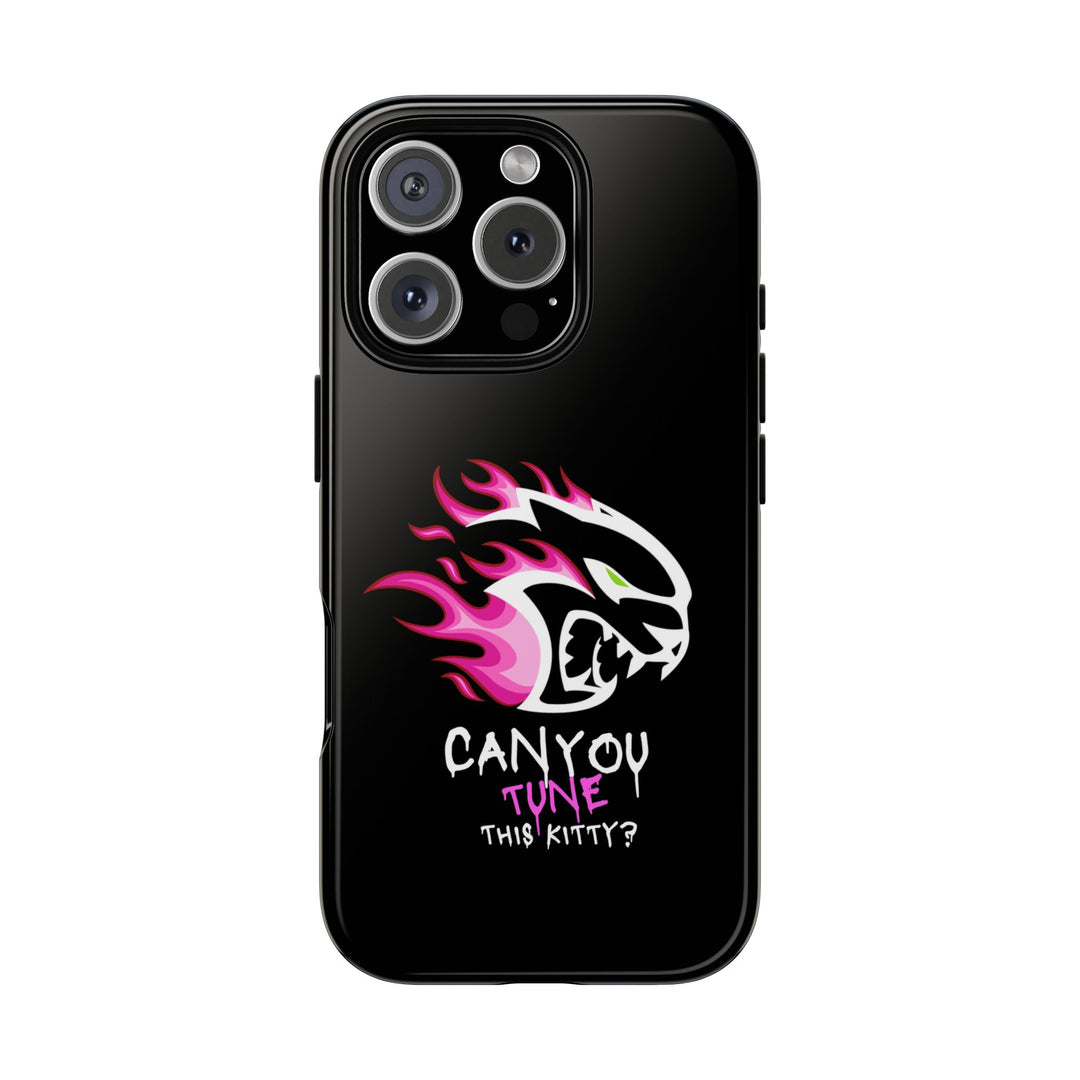 "CAN YOU TUNE THIS KITTY?" Case