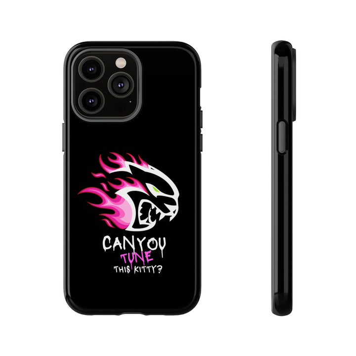 "CAN YOU TUNE THIS KITTY?" Case