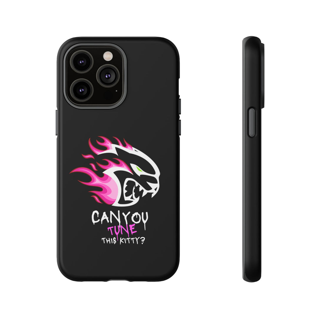 "CAN YOU TUNE THIS KITTY?" Case