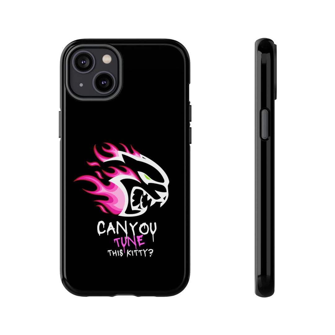 "CAN YOU TUNE THIS KITTY?" Case