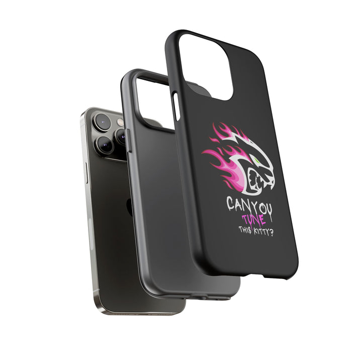 "CAN YOU TUNE THIS KITTY?" Case