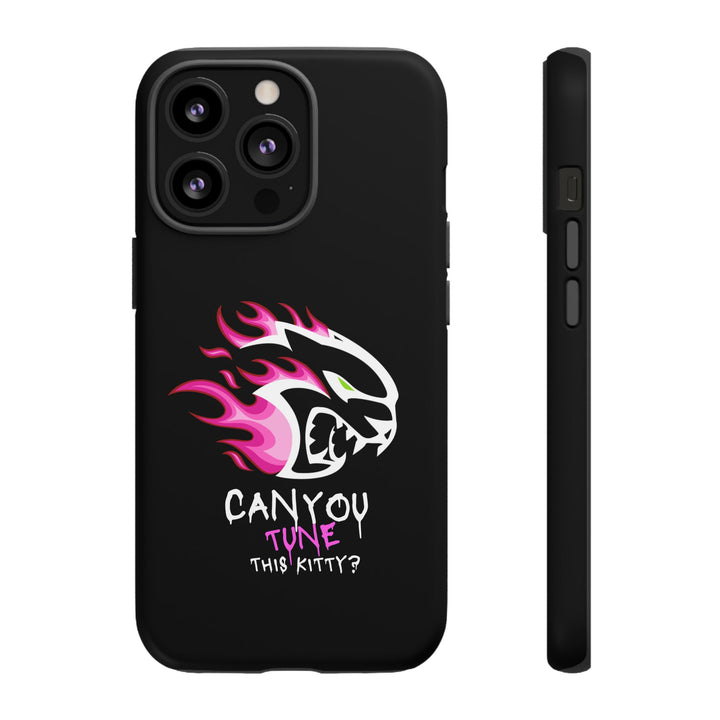 "CAN YOU TUNE THIS KITTY?" Case