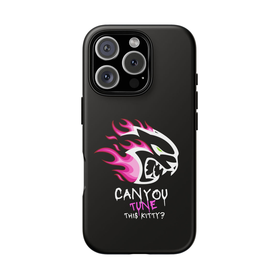 "CAN YOU TUNE THIS KITTY?" Case