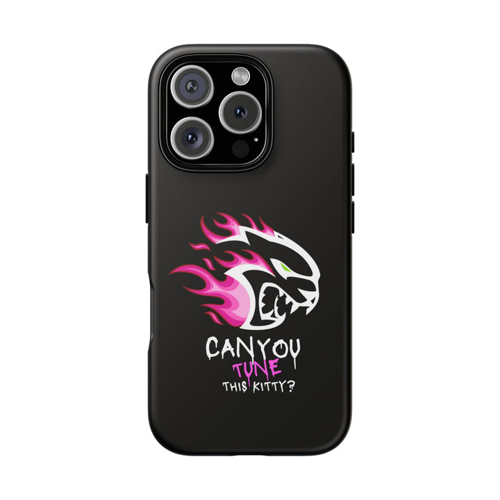 "CAN YOU TUNE THIS KITTY?" Case
