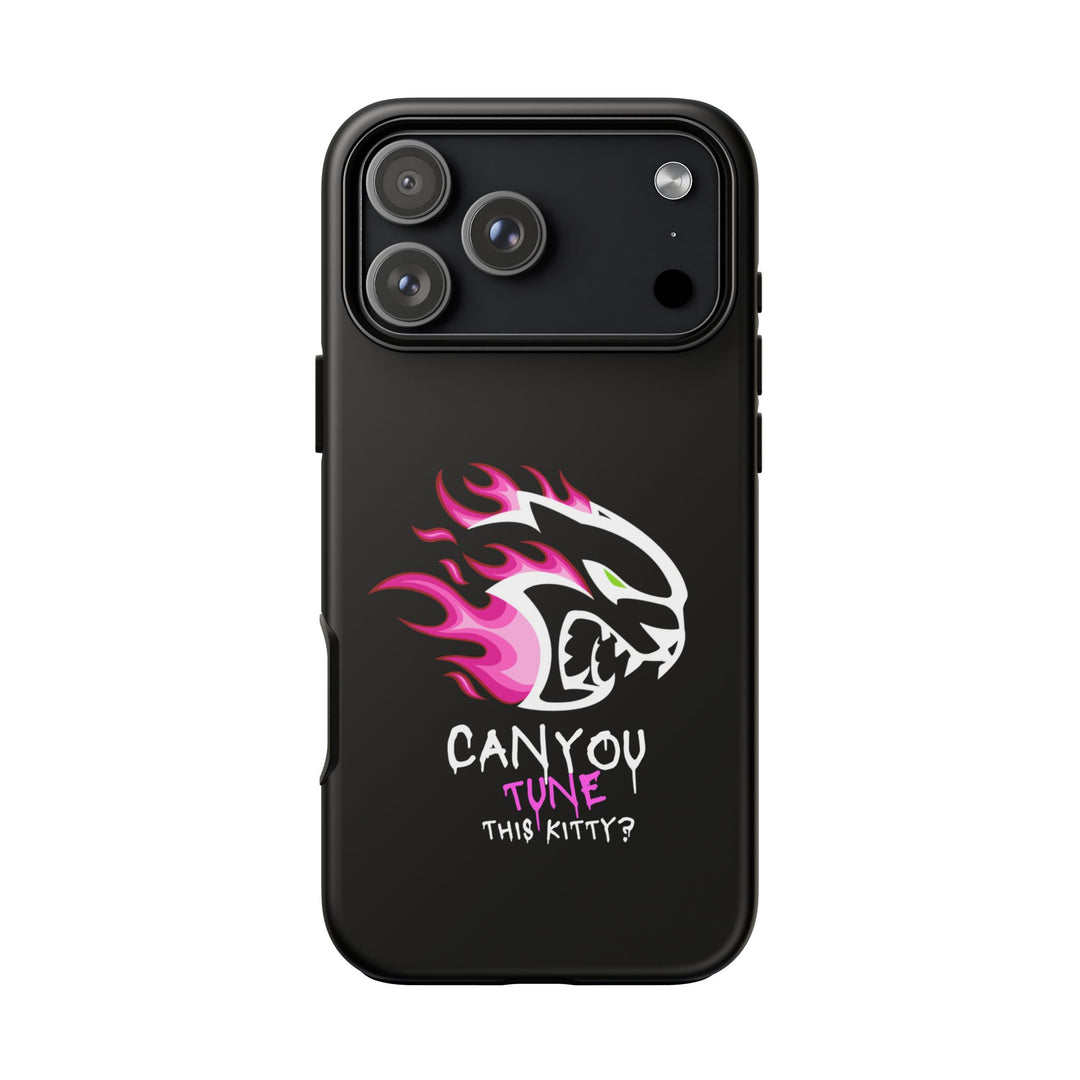 "CAN YOU TUNE THIS KITTY?" Case