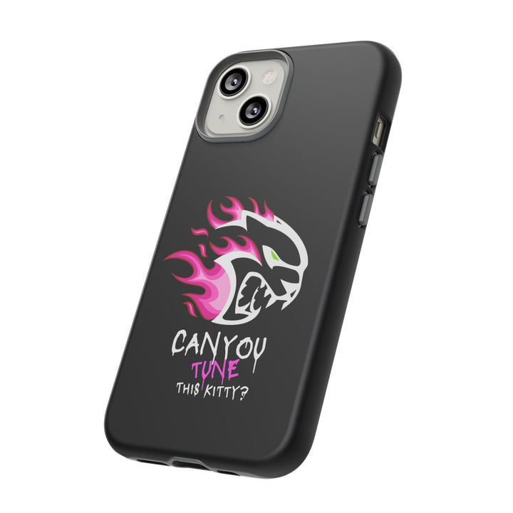 "CAN YOU TUNE THIS KITTY?" Case