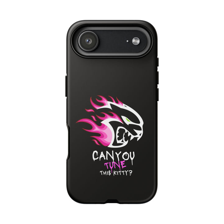 "CAN YOU TUNE THIS KITTY?" Case
