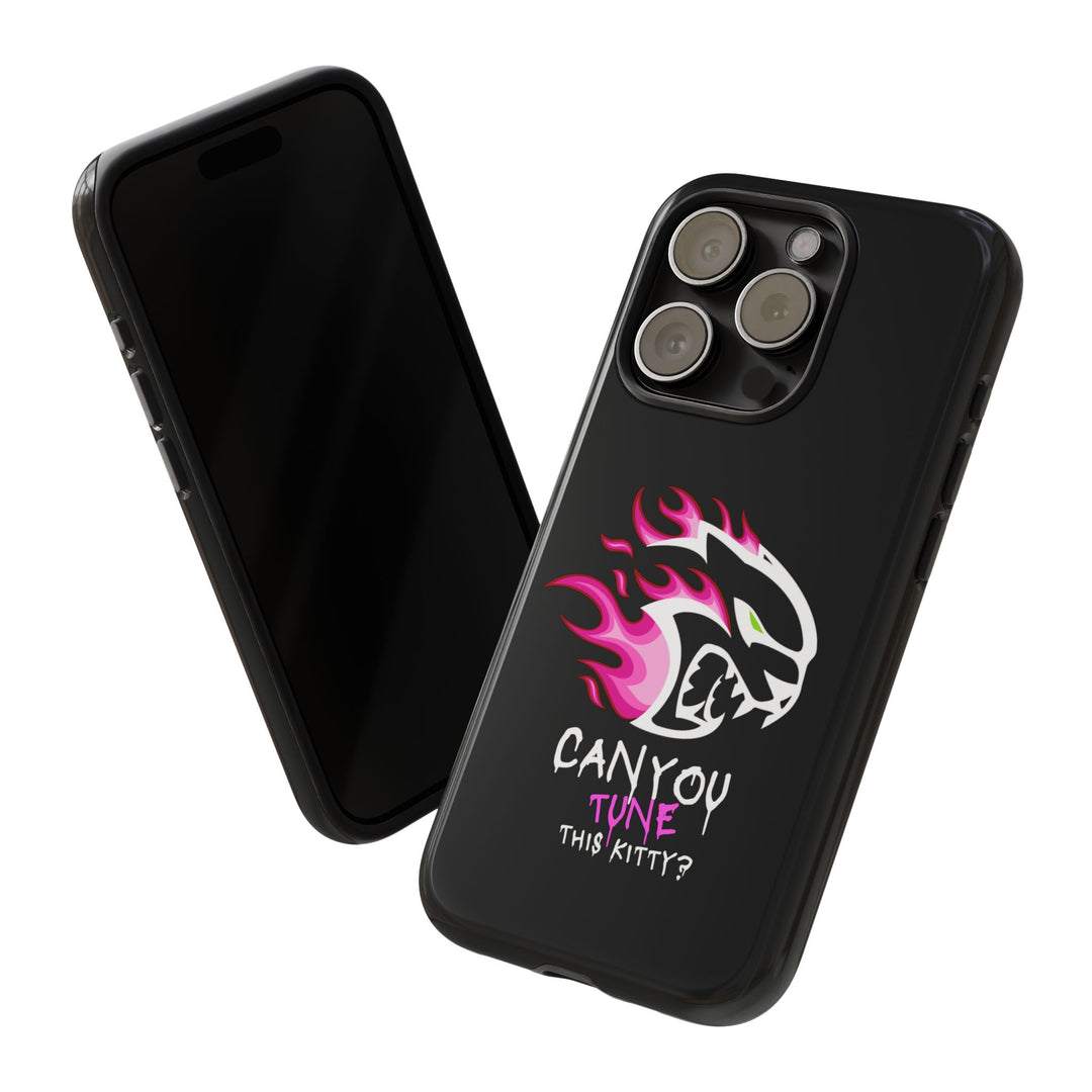 "CAN YOU TUNE THIS KITTY?" Case
