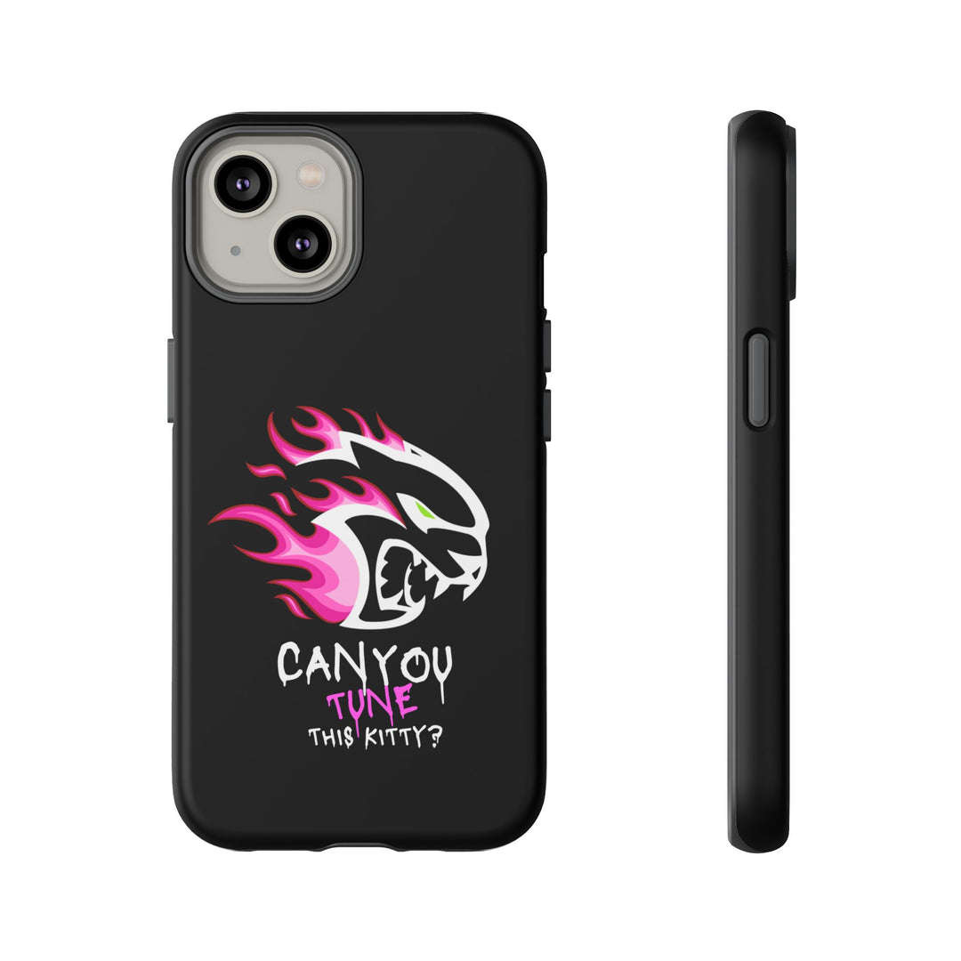 "CAN YOU TUNE THIS KITTY?" Case