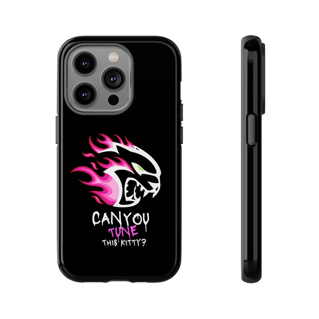 "CAN YOU TUNE THIS KITTY?" Case