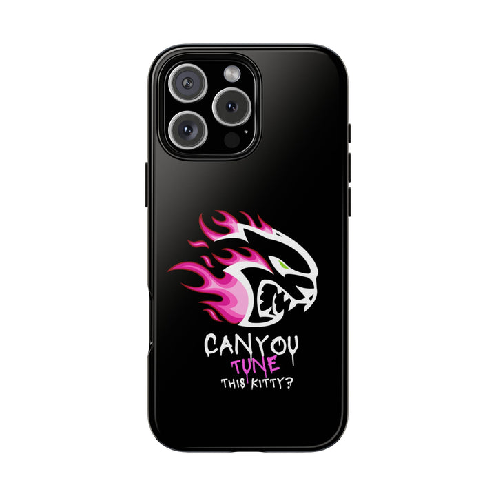 "CAN YOU TUNE THIS KITTY?" Case