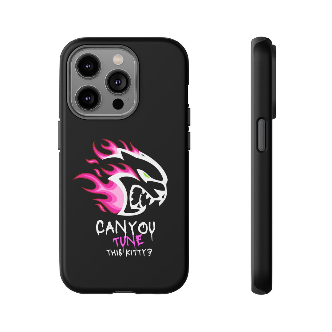 "CAN YOU TUNE THIS KITTY?" Case